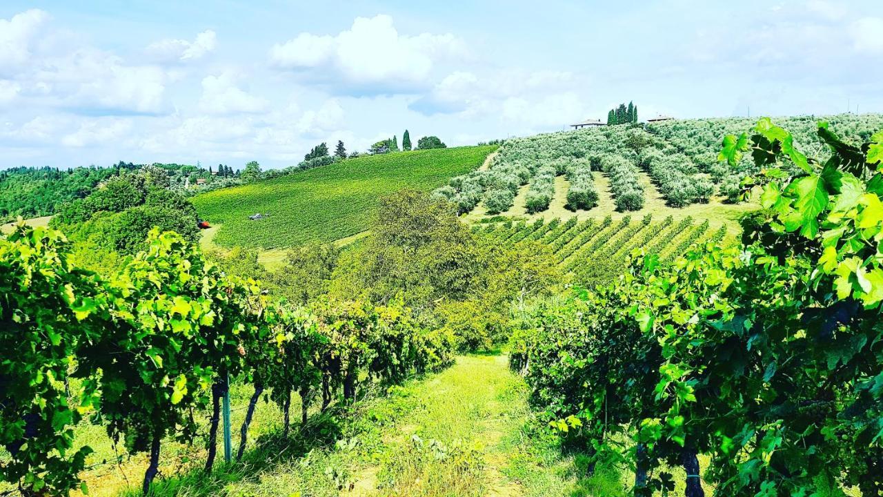 Agriturismo Sant'Ellero 瓦尔的圣卡西亚诺 外观 照片