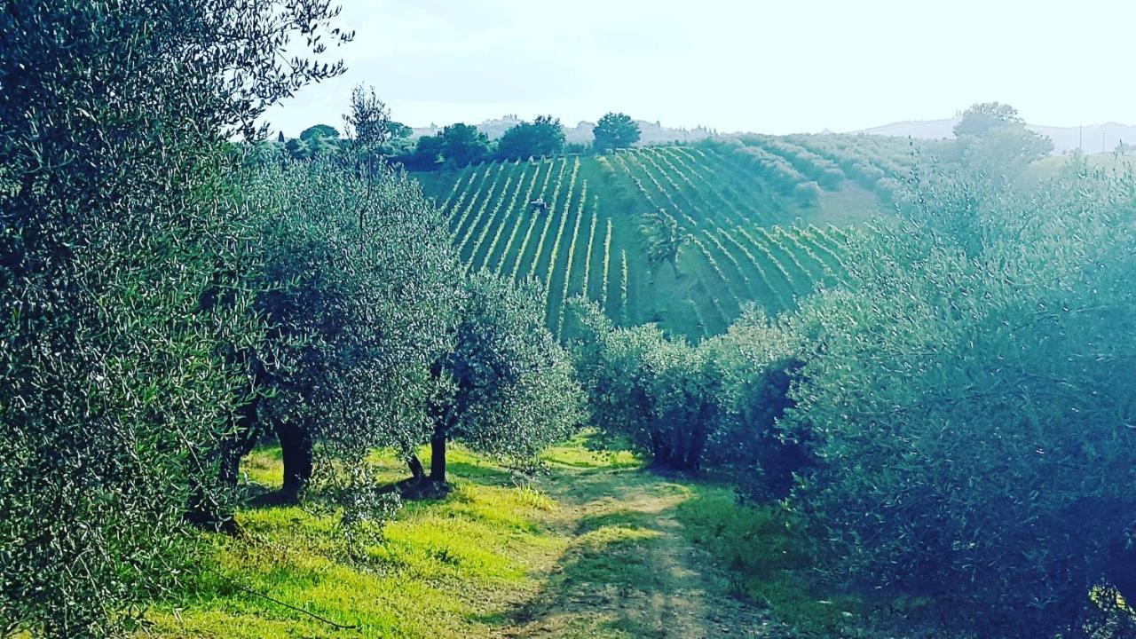 Agriturismo Sant'Ellero 瓦尔的圣卡西亚诺 外观 照片